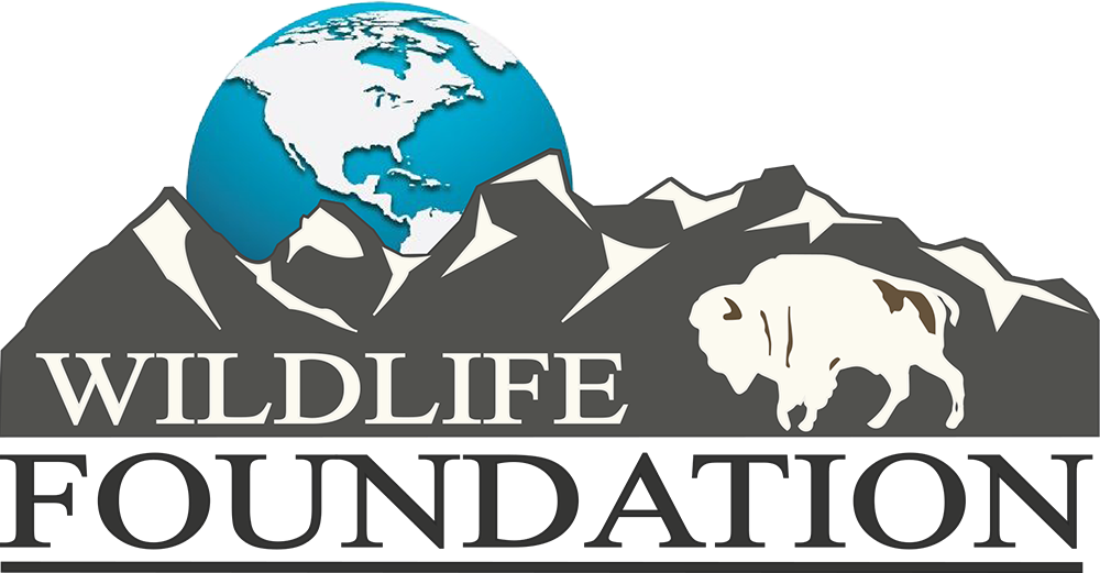 Wildlife Foundation